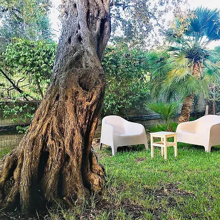 Casa Aurelio Wellness & Inclusive